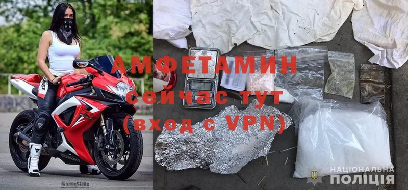 цена наркотик  Гаджиево  Amphetamine VHQ 